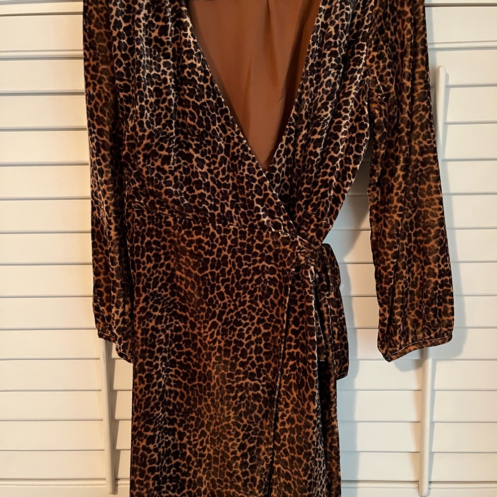JCrew velvet dress